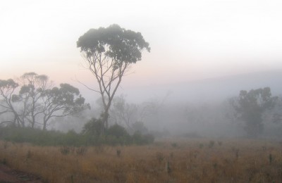 Misty